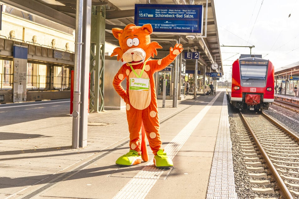 Neue Fahrpreise und Tickets für Bus und Bahn ab 1. August in Magdeburg
