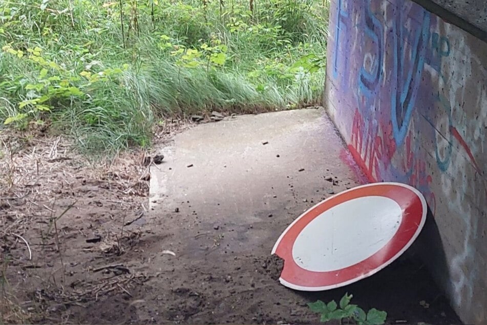 Das Verkehrsschild wurde nach dem Aufprall zur Seite geschleudert.