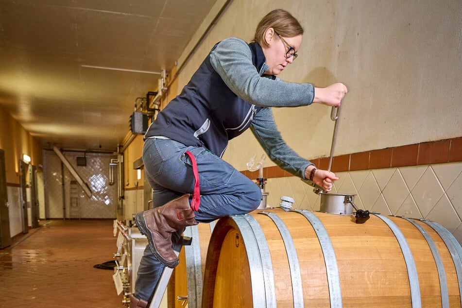 Der Ausbau im Fass ist eine Seltenheit und für die Kellermeisterin eine schöne Herausforderung.