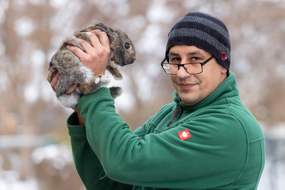 "Tiere sind keine Weihnachtsgeschenke": Tierheimleiter Florian Hanisch (36) mit Zwergkaninchen "Hans" (11 Monate).