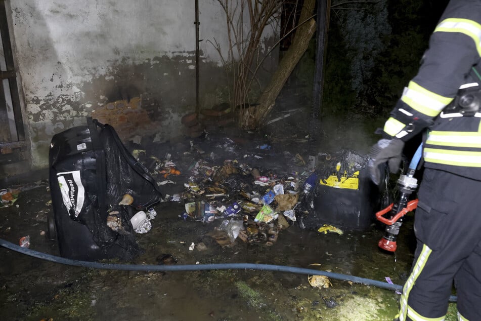 Mehrere Mülltonnen fackelten am ersten Weihnachtsfeiertag in der Paul-Gruner-Straße ab.