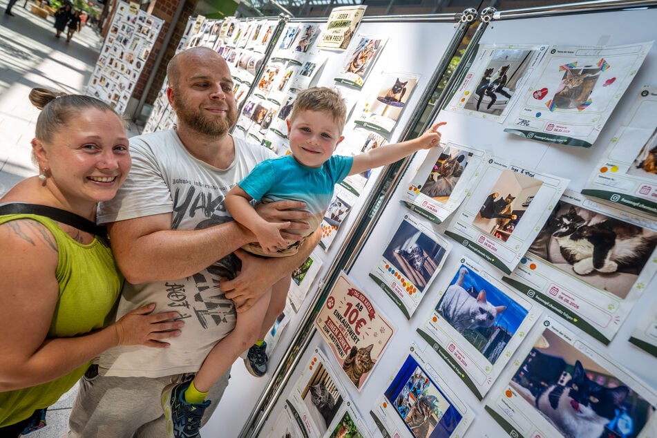 Ludwig (4) und seine Eltern Tina Uhlmann (33) und Steve Klaumünzner (38) haben für drei Katzen auf dem Klo abgestimmt.