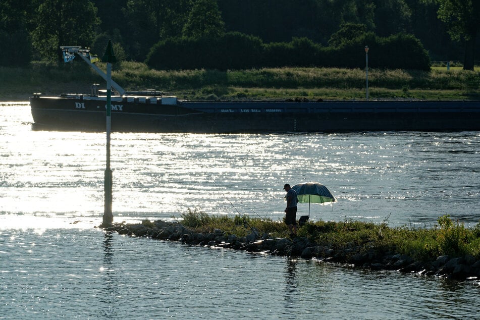 Es ist unklar, wie viele E-Scooter sich derzeit auf dem Grund des Rheins befinden.