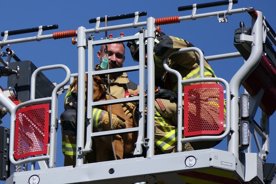 Glücklicherweise konnten ihn die Feuerwehrleute retten.