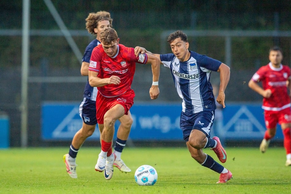 Der FSV Zwickau lieferte sich am Mittwochabend ein spannendes Duell gegen Hertha BSC II.