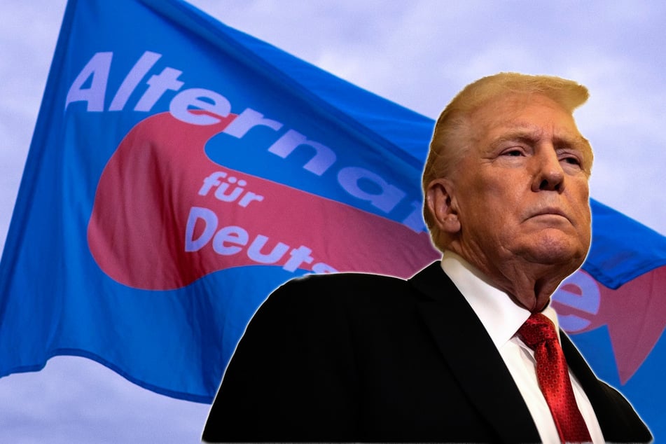 Ist US-Präsident Donald Trump (79) bald Ehrenbürger im rheinland-pfälzischen Landkreis Bad Dürkheim?