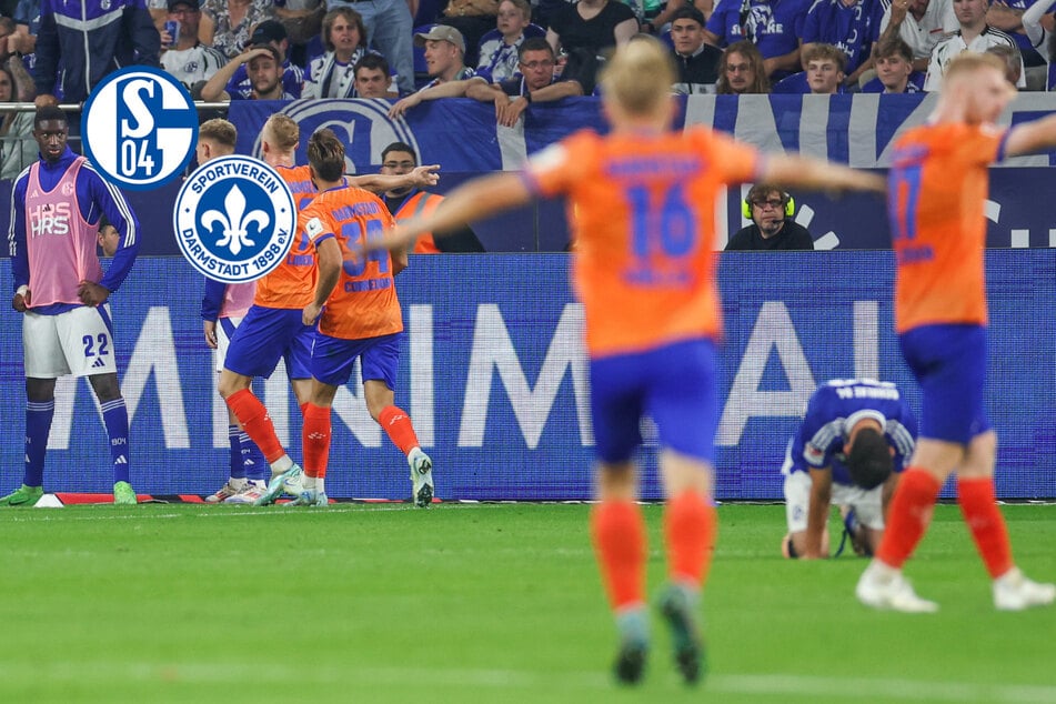 Irres Spiel auf Schalke: Jubelnde Darmstädter drehen 0:3-Rückstand!