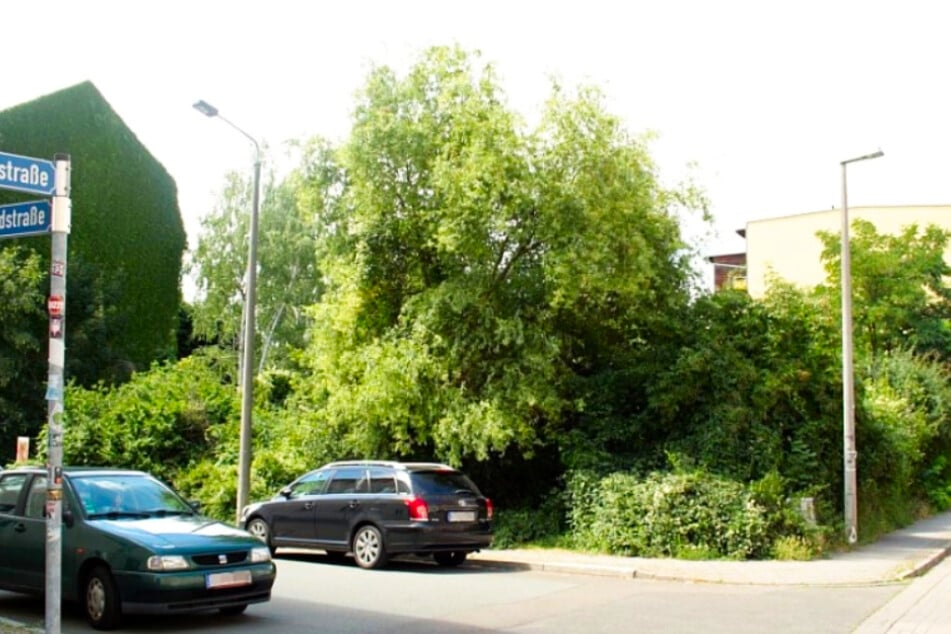 Zuvor war die Ecke Biedermann- und Leopoldstraße eine grüne Oase.