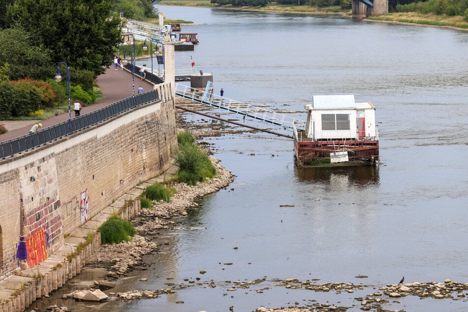 Rekord-Niedrigwasser in Magdeburg: Jetzt wird es noch heißer