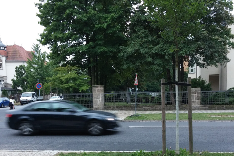 Die Tat geschah an der Tiergartenstraße in Dresden.