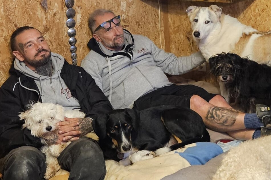 Steve a Alex se starostně starají o psy v útulku.