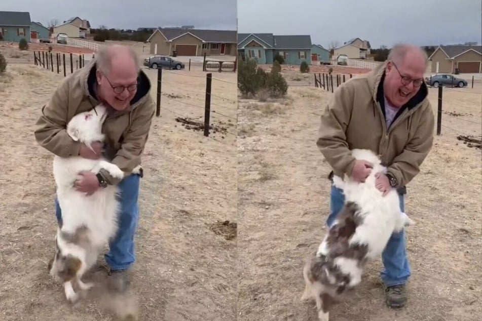 Love is blind: deaf and sightless dog has touching reunion with her favorite human