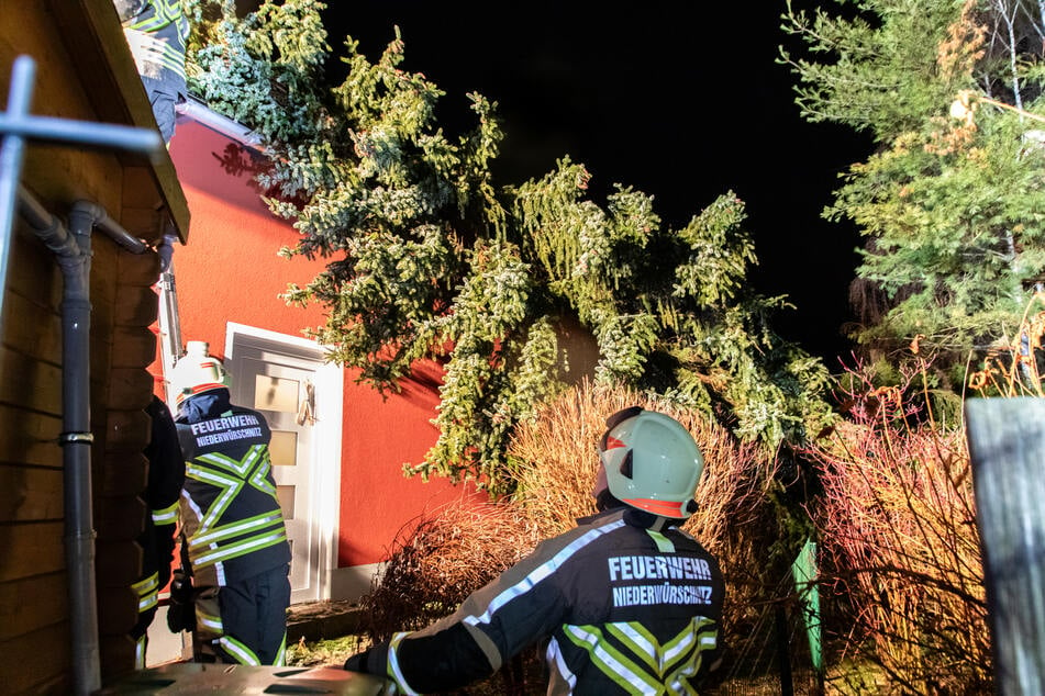 In Niederwürschnitz stürzte ein Baum auf ein Haus und beschädigte das Dach.