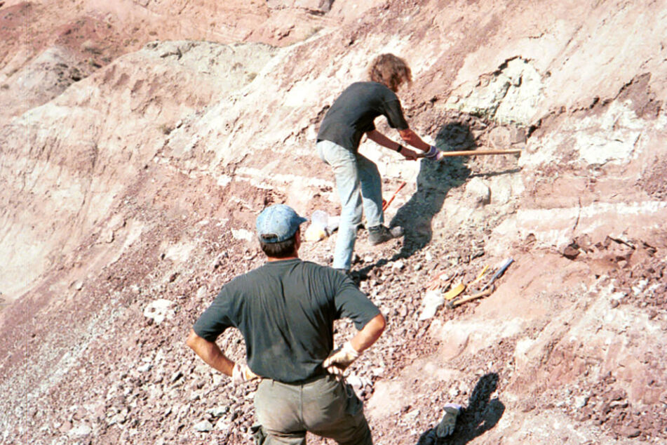 Forscherinnen und Forscher einer chinesisch-deutschen Expedition arbeiten im heutigen Junggar-Becken in der Provinz Xinjiang im Nordwesten Chinas.