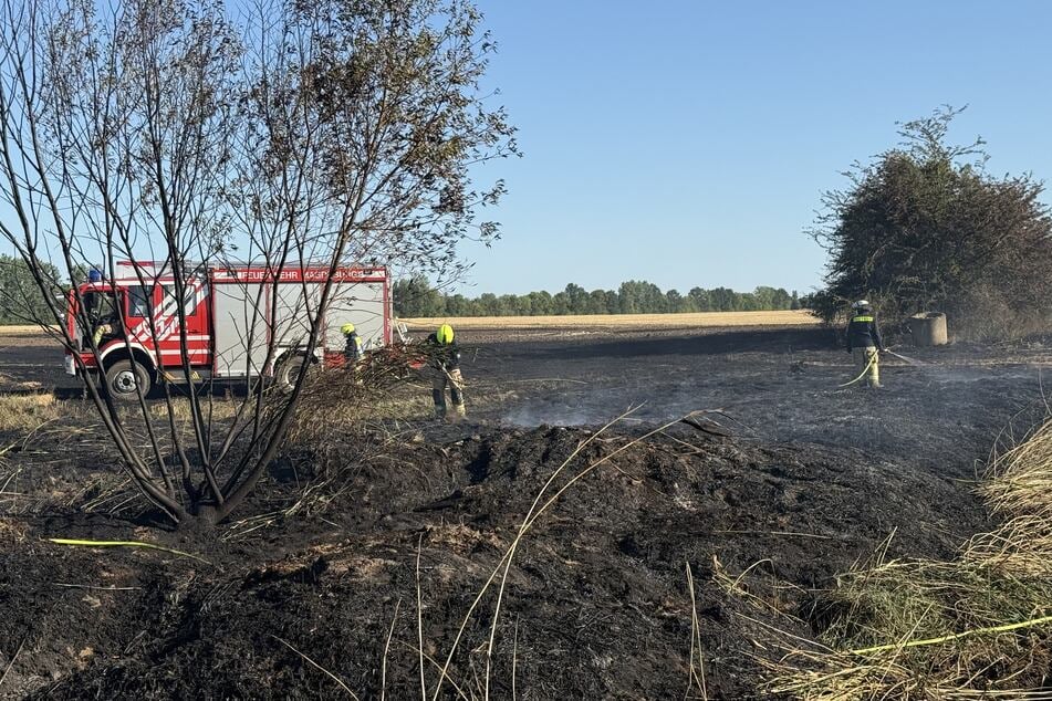 Die Einsatzkräfte waren bis zum späten Abend im Einsatz.