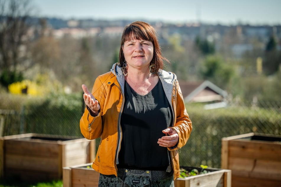 Suzanne Krauß (56), Chefin des Stadtverbands der Kleingärtner, will die Chemnitzer Sparten sichtbarer machen und junge Familien wieder stärker für den Garten begeistern.