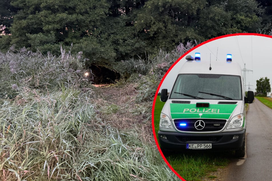 Vermisste Frau tot im Wald entdeckt: Partner legt Geständnis ab