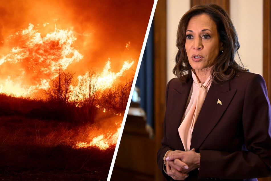 X-Nutzer warfen Kamala Harris (60) schlechtes und zögerliches Krisenmanagement während der LA-Feuer vor.