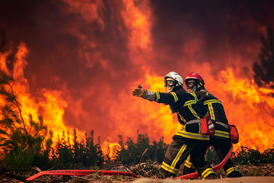 Weltweit kommt es derzeit zu verheerenden Waldbränden.