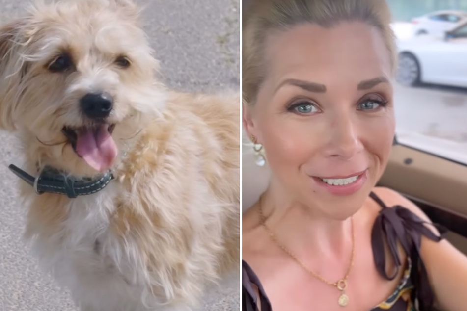 Trotz Sorgen um Familienhund Guido: Tanja Szewczenko geht in Dubai auf Videodreh