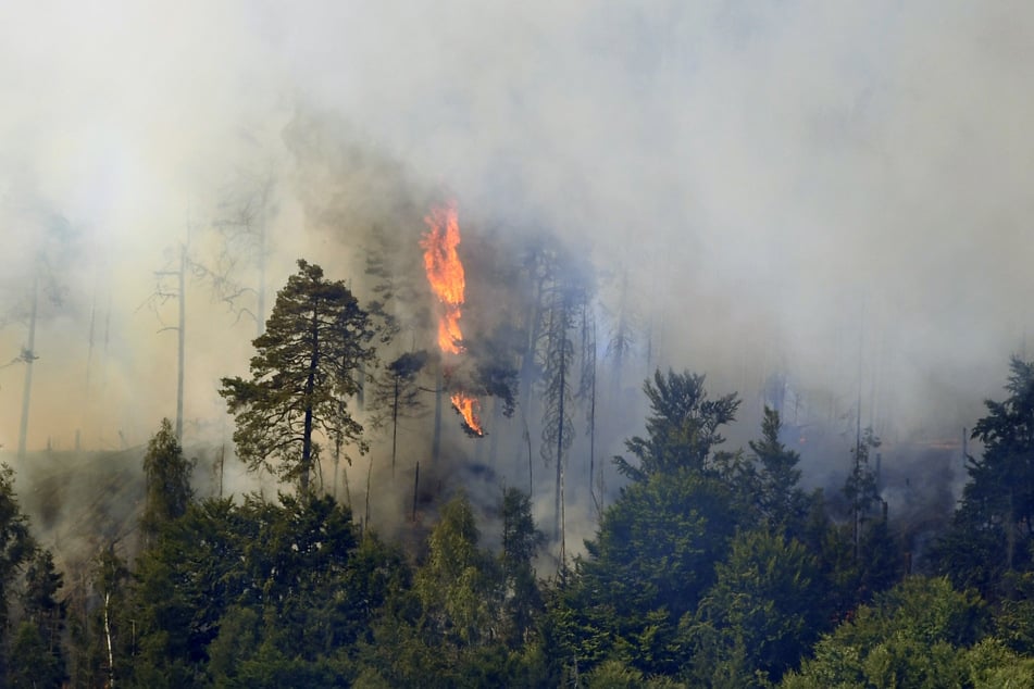 Wo brennt es gerade? Neueste Infos und News zu Waldbränden heute gibt es auf TAG24.