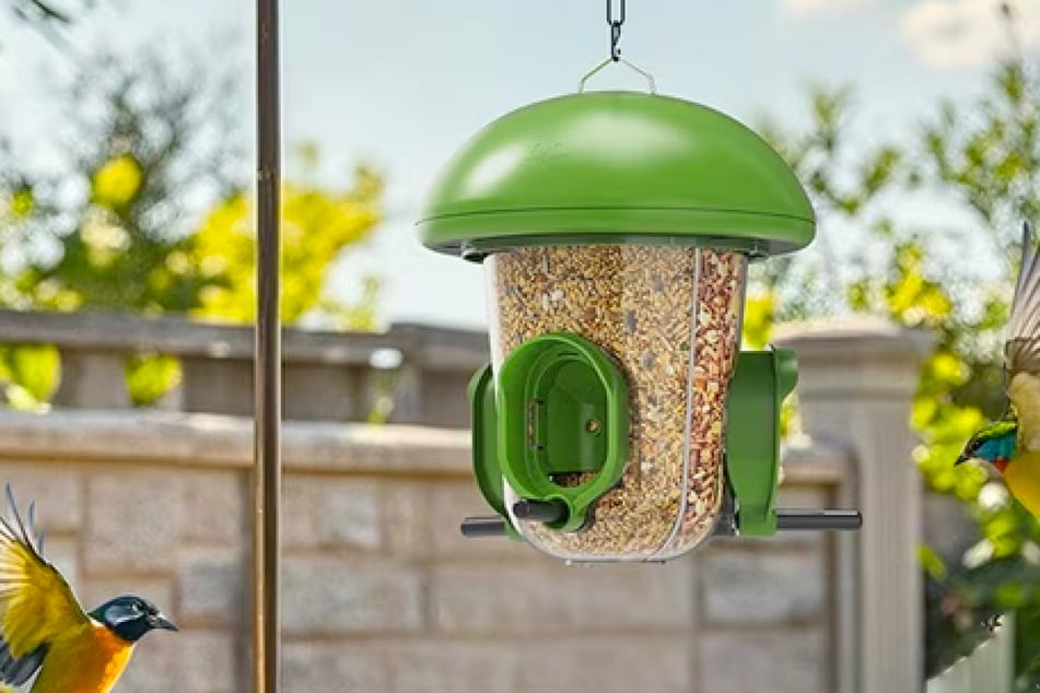 This Bird Feeder is a game-changer for Spring – and is on sale at a huge discount
