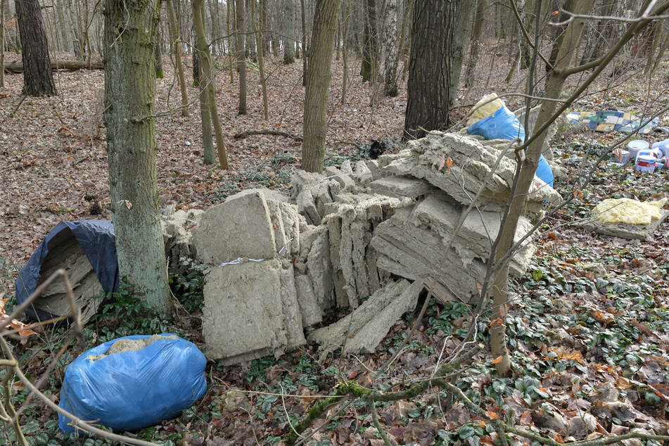 In den Wäldern und Parks landet immer mehr Abfall. Oftmals wird auch gefährlicher Müll illegal entsorgt. (Symbolfoto)