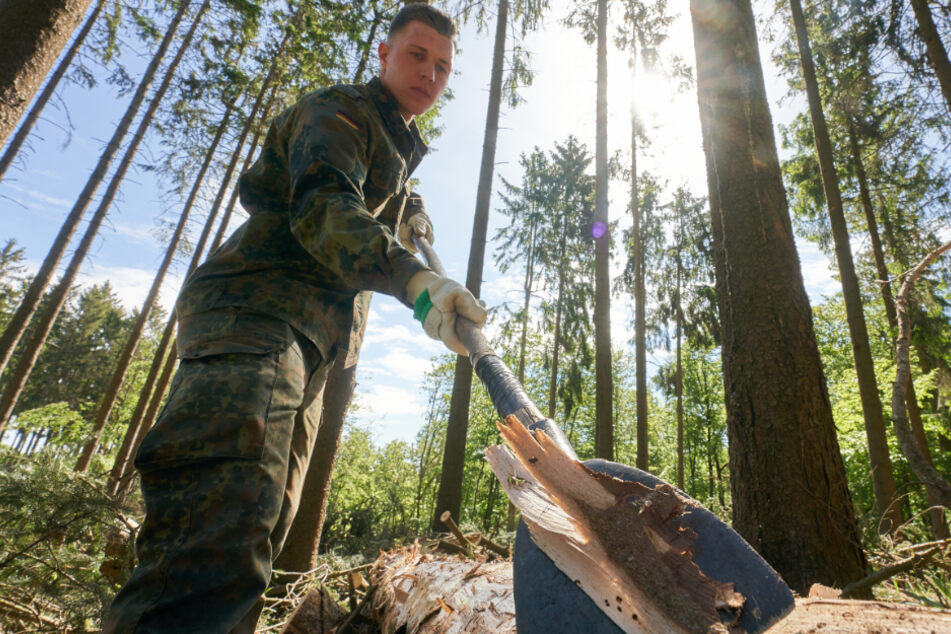 Ein Bundeswehrsoldat schält im Wald in der Eifel die Rinde von Baumstämmen, die vom Borkenkäfer befallen sind.