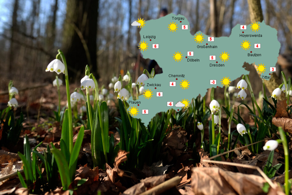 Wetter in Sachsen: Am Wochenende kommt die Sonne wieder raus!