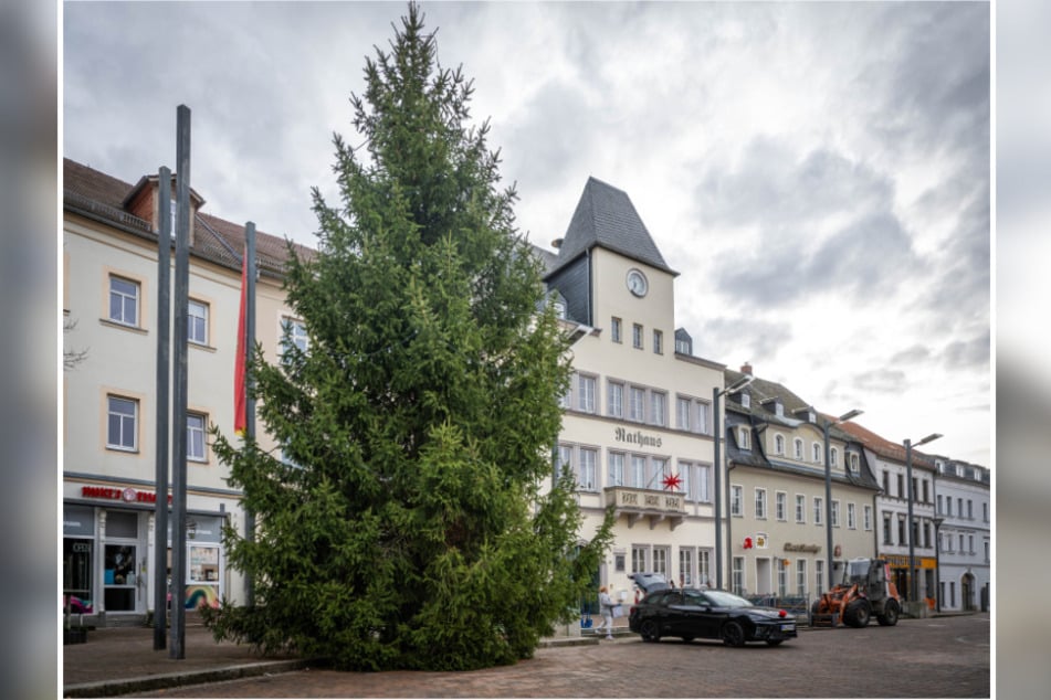 Der Weihnachtsbaum in Frankenberg ist einer von fünf, die gestern in Mittelsachsen vermessen wurden.