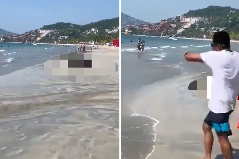 Badegäste rennen um ihr Leben, als diese Kreatur plötzlich am Strand auftaucht