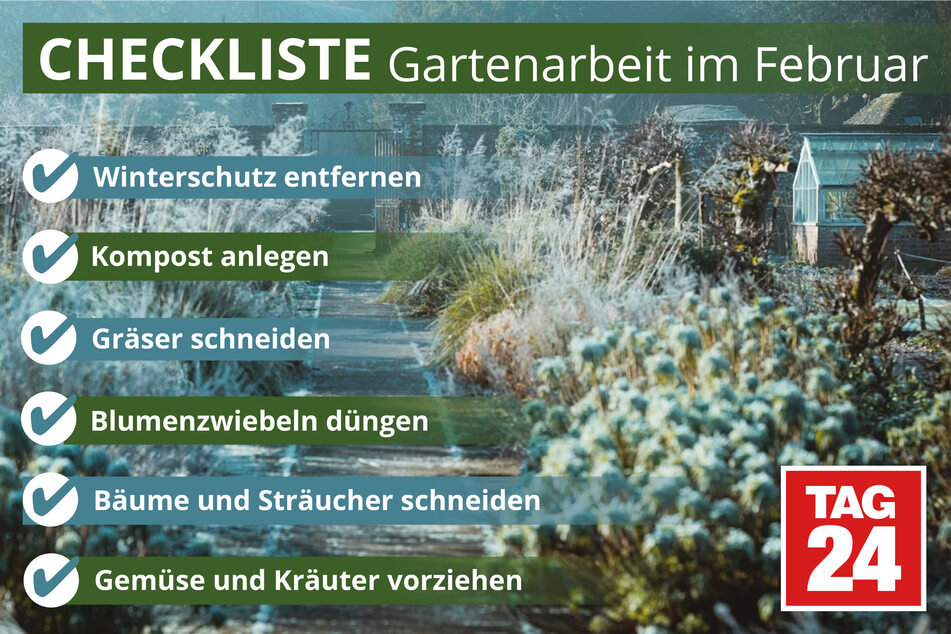 Gartenarbeit im Februar Das ist jetzt zu tun!