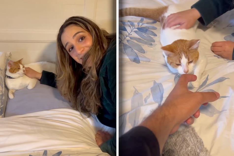 Fifi Furrha kann ihr Glück kaum fassen. Die neue Katze ist mittlerweile ein fester Teil ihrer Familie.