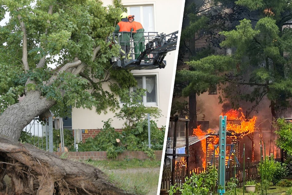 Kräftiges Unwetter fegt über Sachsen: Baum kracht in Haus, Blitzeinschlag sorgt für Brand