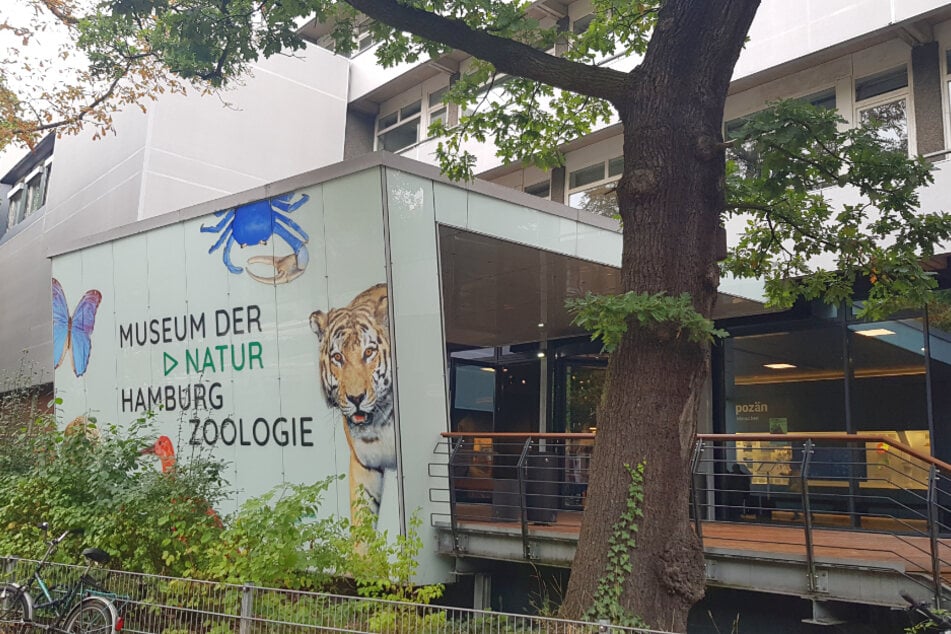 Das Museum der Natur Hamburg - Zoologie präsentiert eine Vielzahl an Tierpräparaten aus der ganzen Welt.