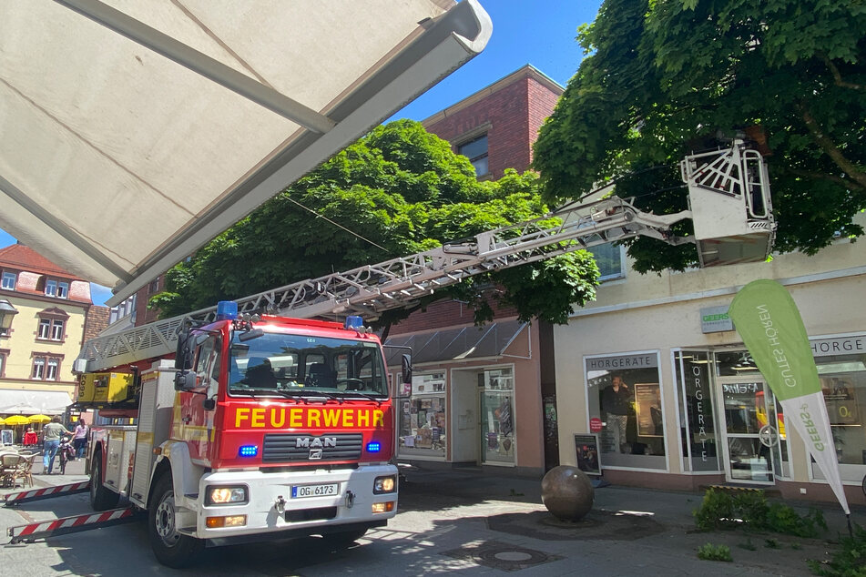 Die Offenburger Feuerwehr stellte sich dem tierischen Treiben im südbadischen Frühsommer entgegen.