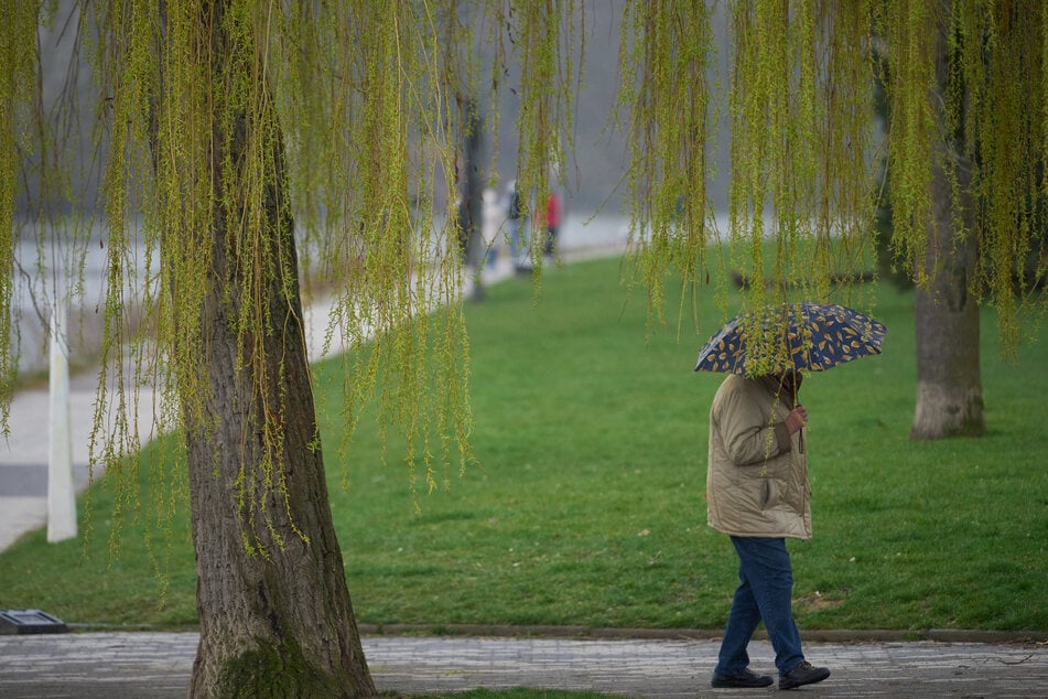Jacke und Regenschirm sind an diesem Wochenende in Köln und NRW ein Muss. (Symbolbild)