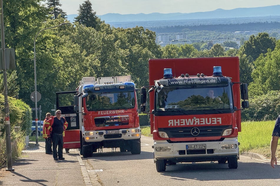 Etwa 100 Einsatzkräfte machten sich auf den Weg, um den Brand oberhalb des Wohngebiets Vogelsang zu löschen.