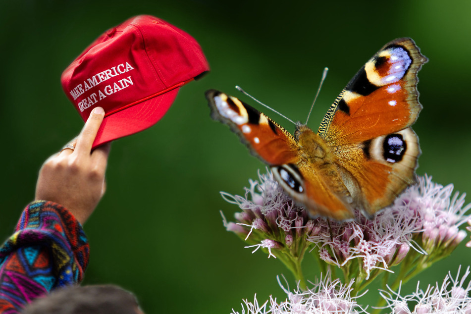 QAnon conspiracy theorists have accused the National Butterfly Center in Mission, Texas, of being home to a sex-trafficking ring (stock image).