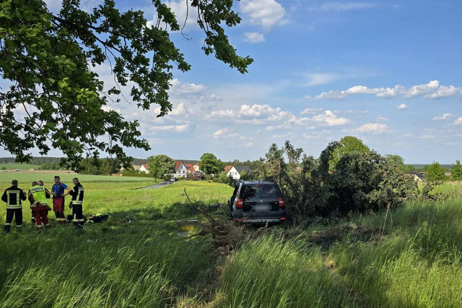 Erst als der Wagen mit voller Wucht gegen einen Baum krachte, kam das Auto zum Stillstand.