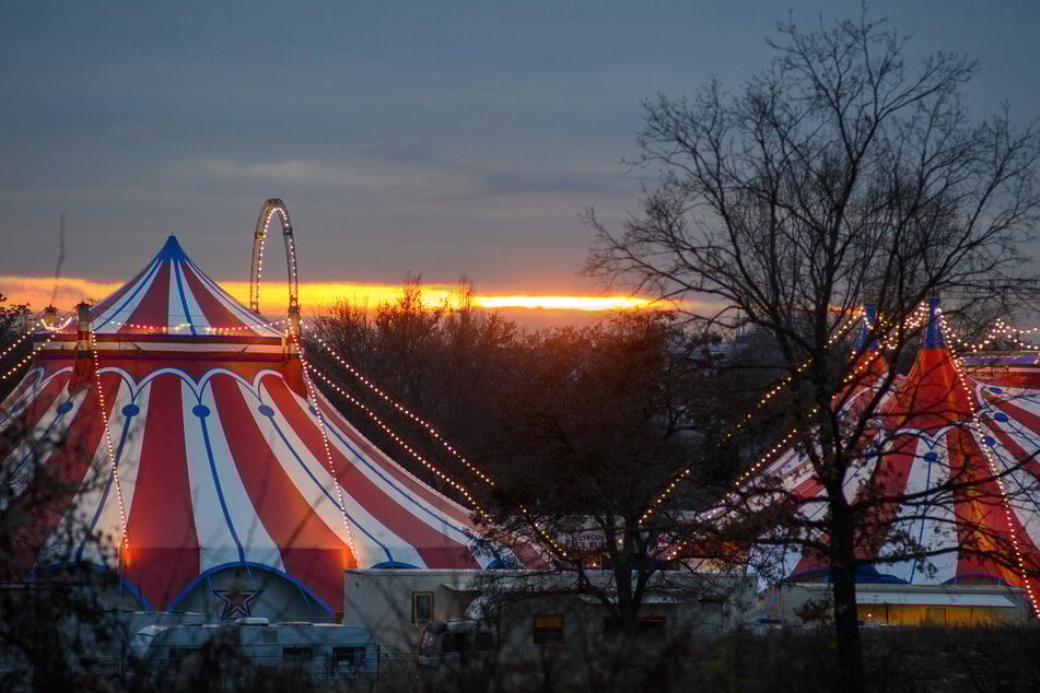 In Magdeburg gastiert über Ostern wieder ein Zirkus. (Symbolfoto)