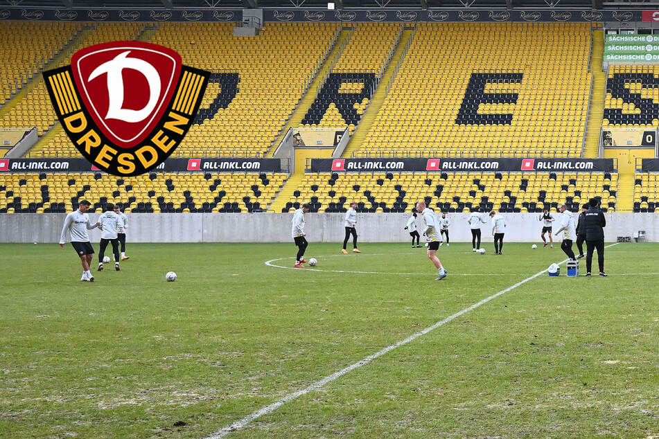 Für erfolgreiche Dynamo-Heimspiele: Der zweite neue Rasen in dieser Saison