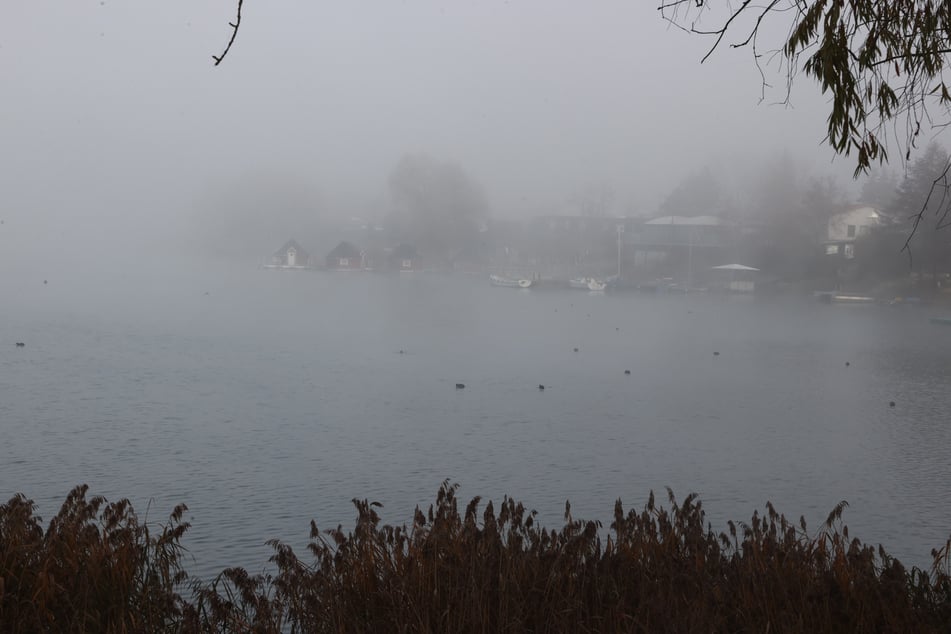 In der ganzen Woche bleibt das Wetter in Thüringen meist neblig. (Archivbild)