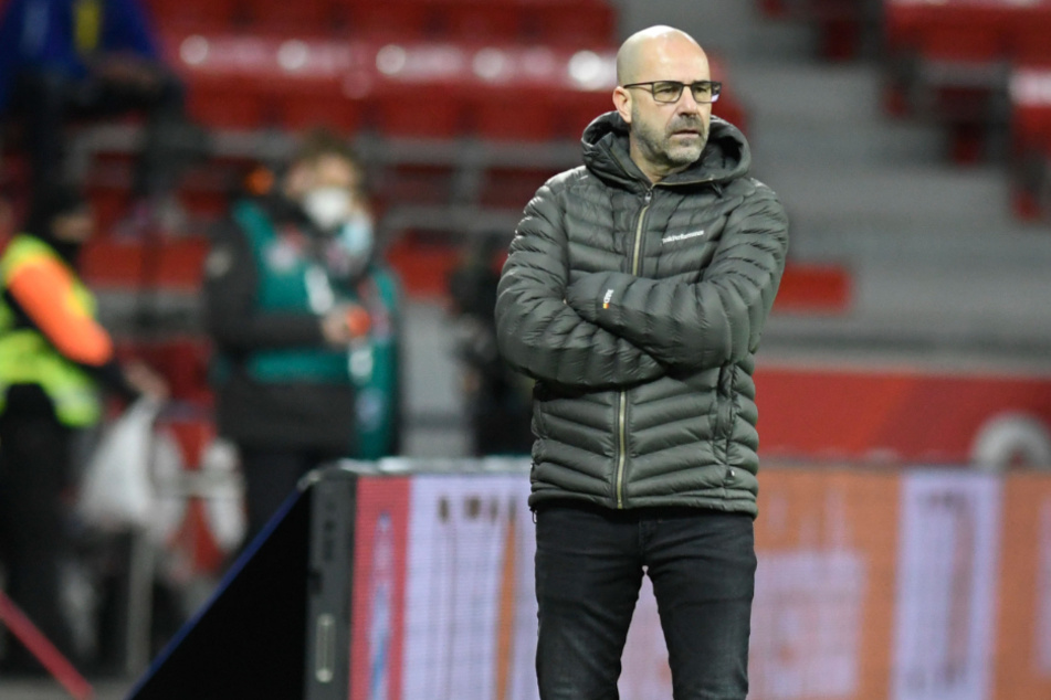 Kann Bayer-Coach Peter Bosz dem FC Bayern München gefährlich werden?