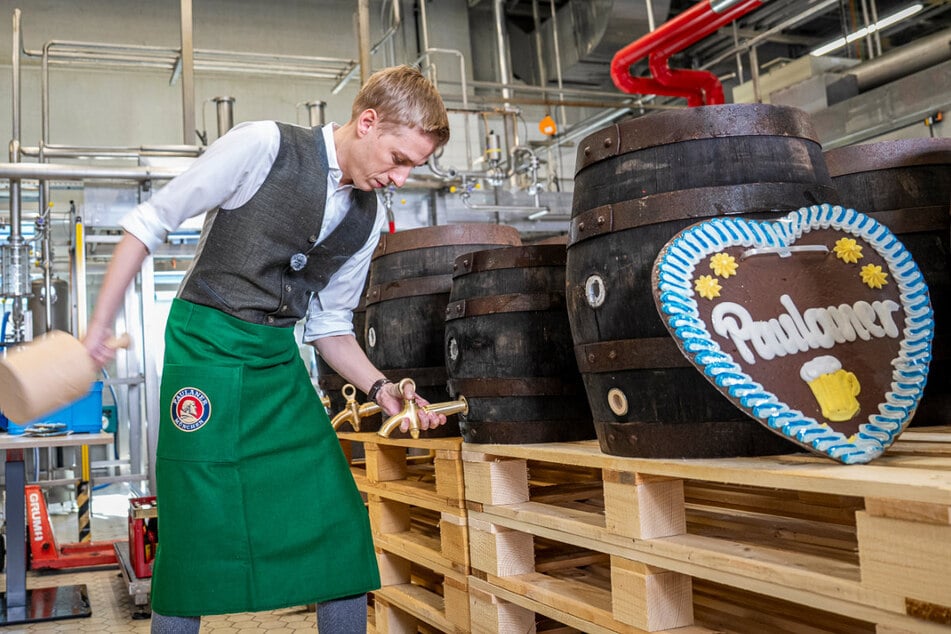 G'schichten aus dem Paulaner-Bootcamp: Münchens Oberbürgermeister Dominik Krause (36) trainiert für das traditionelle O'zapfen zum Wiesn-Start.