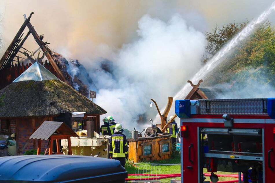 Feuer im Spreewald: Extreme Temperaturen erschweren Löscharbeiten