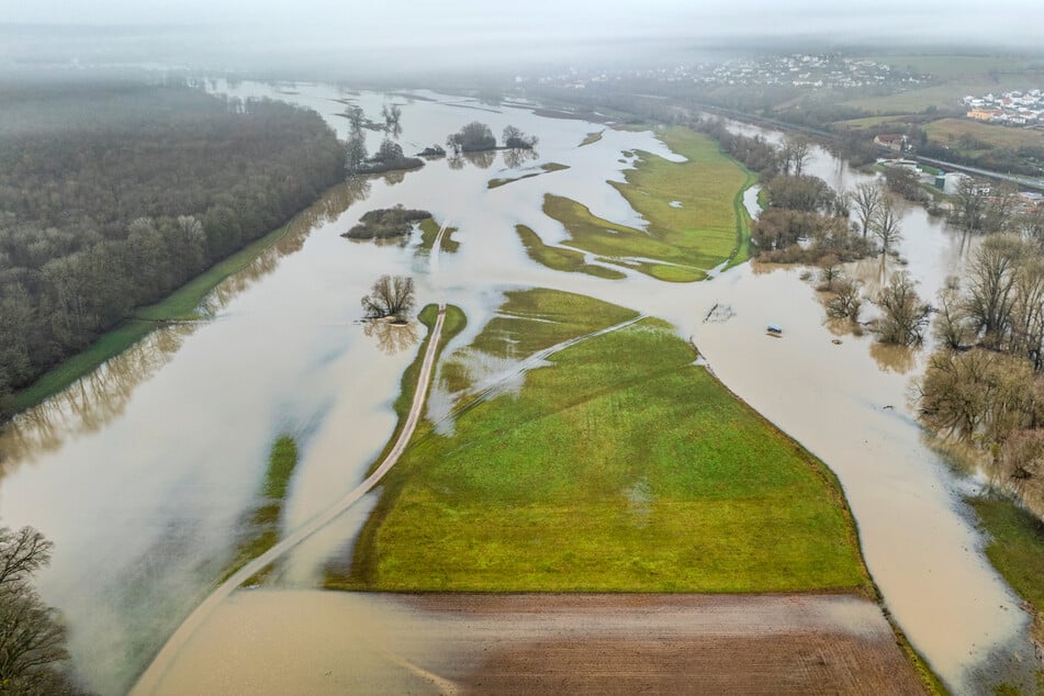 Der über die Ufer getretene Main überflutet Wiesen und Felder bei Haßfurt.
