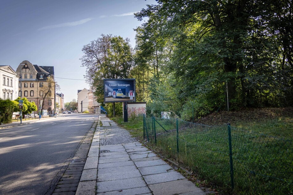 Das unbebaute Grundstück an der Zwickauer Straße könnte als Pocket Park wiederbelebt werden.