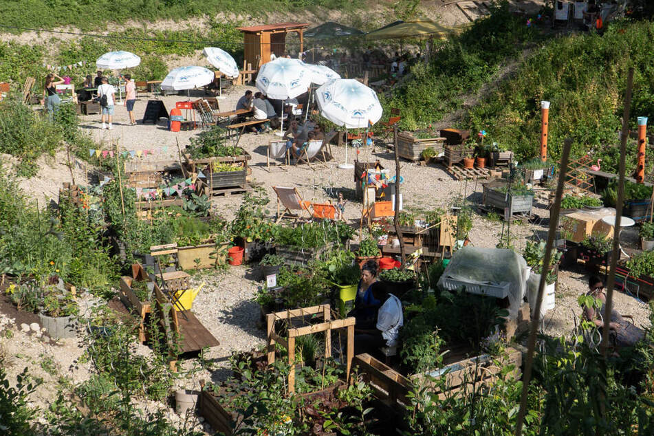 Doppelte Gastro-Freude: Auch die vermieteten Hochbeete um den Biergarten herum entpuppten sich als Erfolgsmodell.