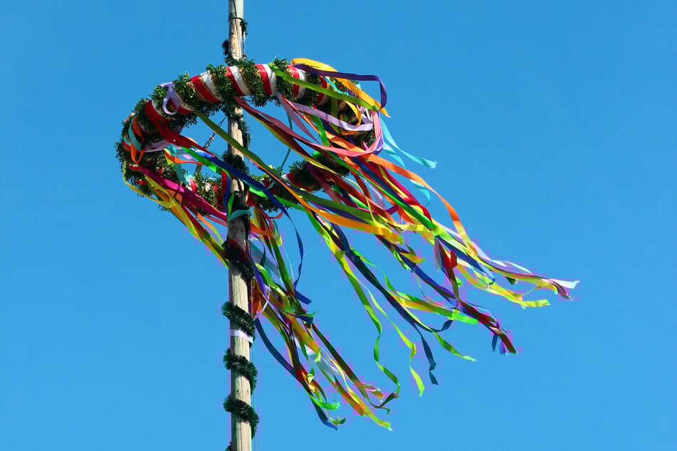 Regional wird am Feiertag ein Pfingstbaum aufgestellt.